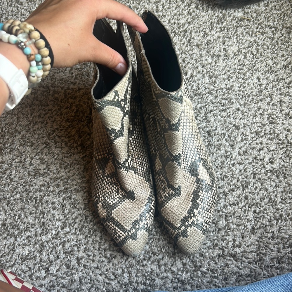 Dolce vita snakeskin boot